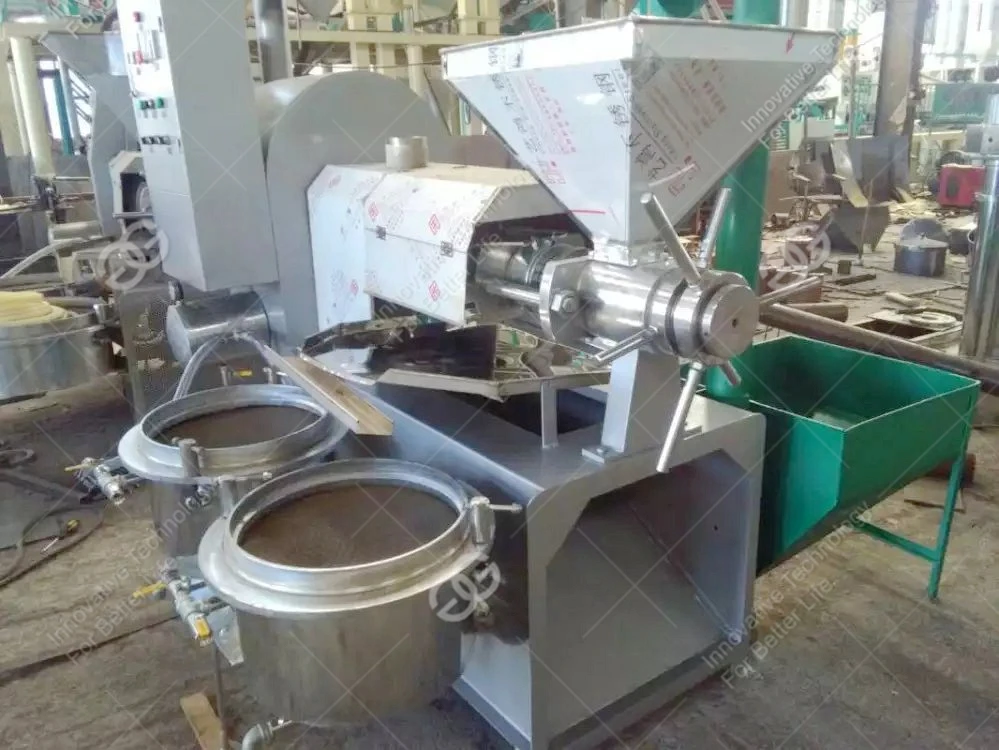 Automatic Avocado Plam Olive Oil Pressing Small Coconut Watermelon