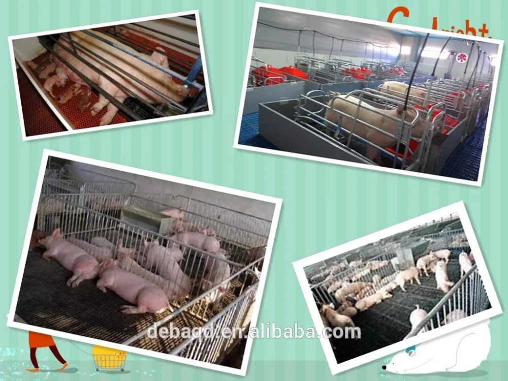 Durable Cast Iron Flooring Pig Farm Equipment Pig Using For Swine Sow