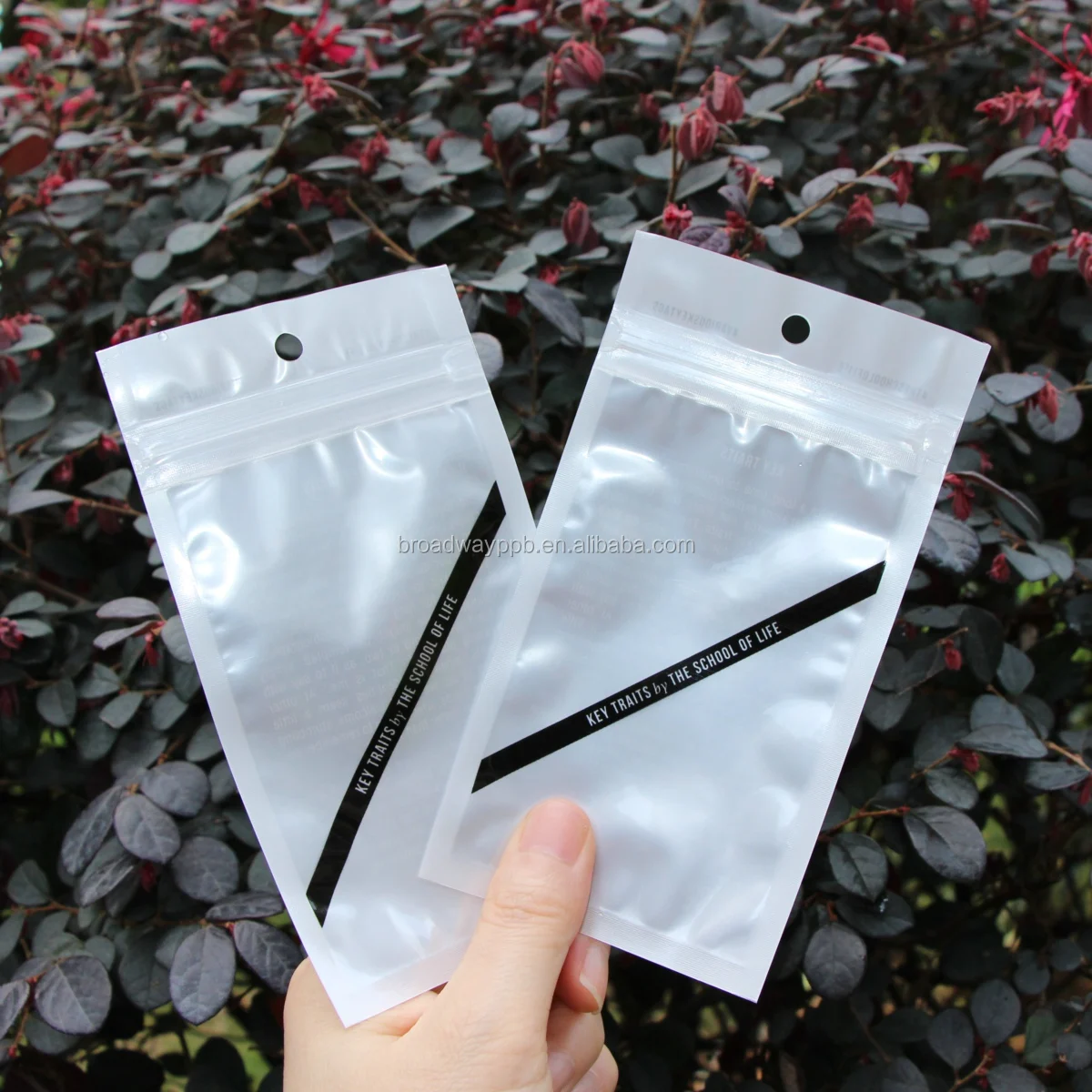 Factory Custom Printed Ziplock Small Plastic Bags For Earrings And