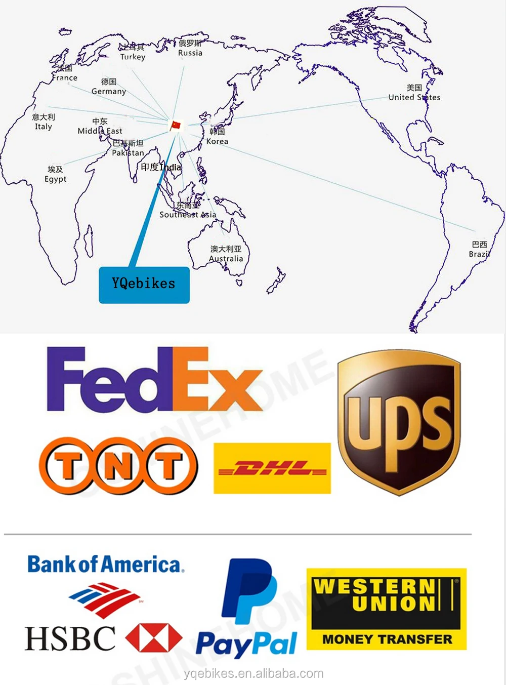 Electric Bike Bicycle