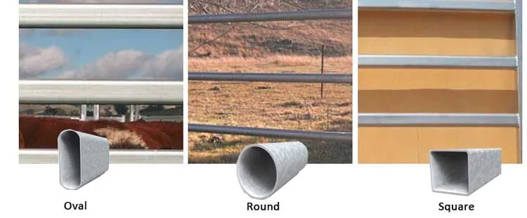 cattle panel1.jpg