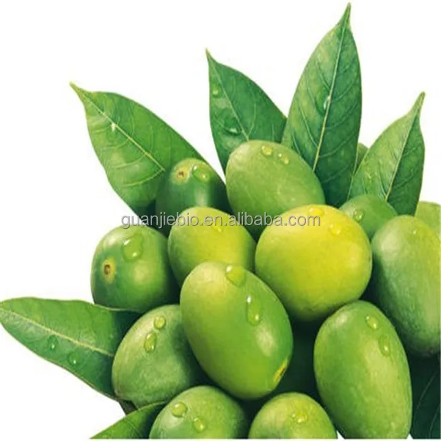 
Natural olive leaf extract CAS 32619-42-4 Oleuropein 
