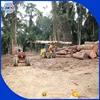 Bubinga Kevazingo larger timber with above 1 meter