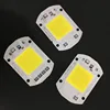 220V/110V 20W 60X40MM Warm white LED Floodlight COB Chip grow light, Integrated Smart IC Driver with factory price