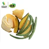 100% Natural fruits Vegetable mixed vegetable chips quick and easy vegan snacks