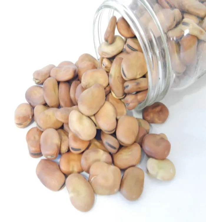 
Dried Broad Beans Fava Beans  (62039842251)