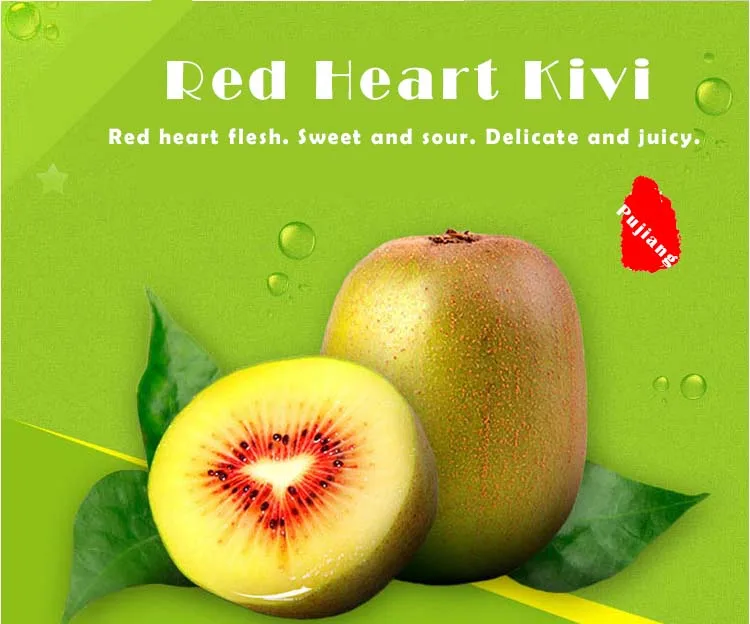 Wholesale Export Corrugated Kiwi Fresh Fruit Packaging Box Buy Kiwi
