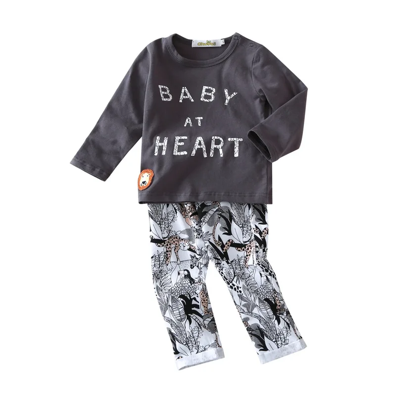 

R&H Fashion 2018 Newest Autumn Cotton Baby Clothes Set, As the pictures show