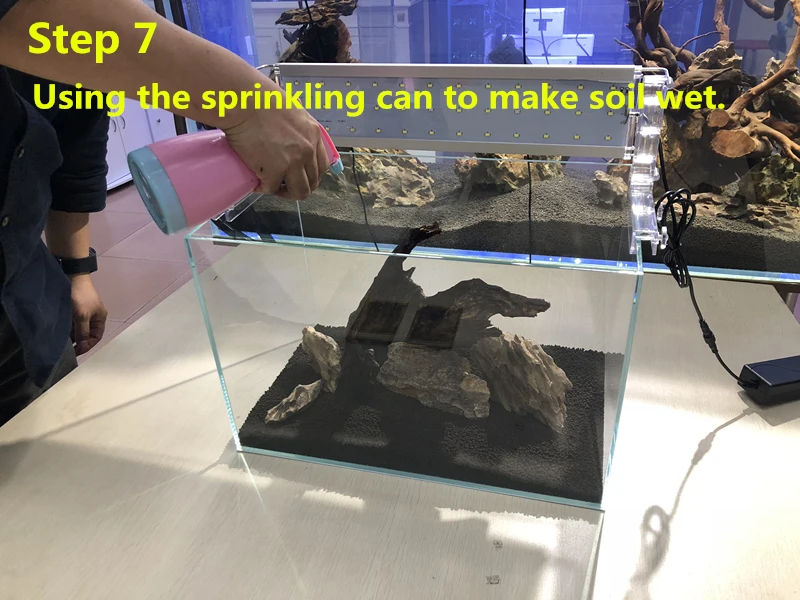 Shanda Aquarium Plant Seeds Aquarium Real Plant Buy Aquarium