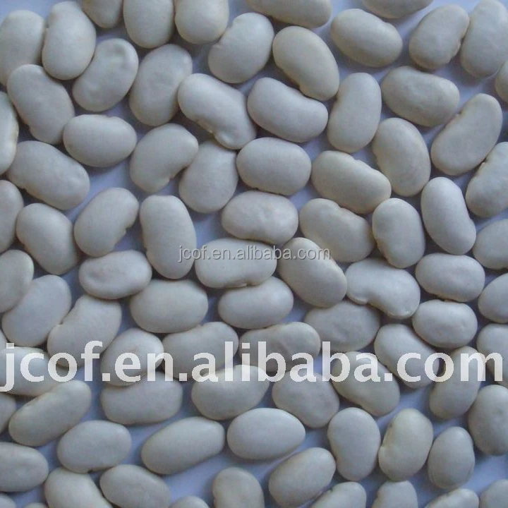 
2017 new crop butter bean(712) 