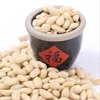 Large Size White Blanched Peanut Kernel with Wholesale Price