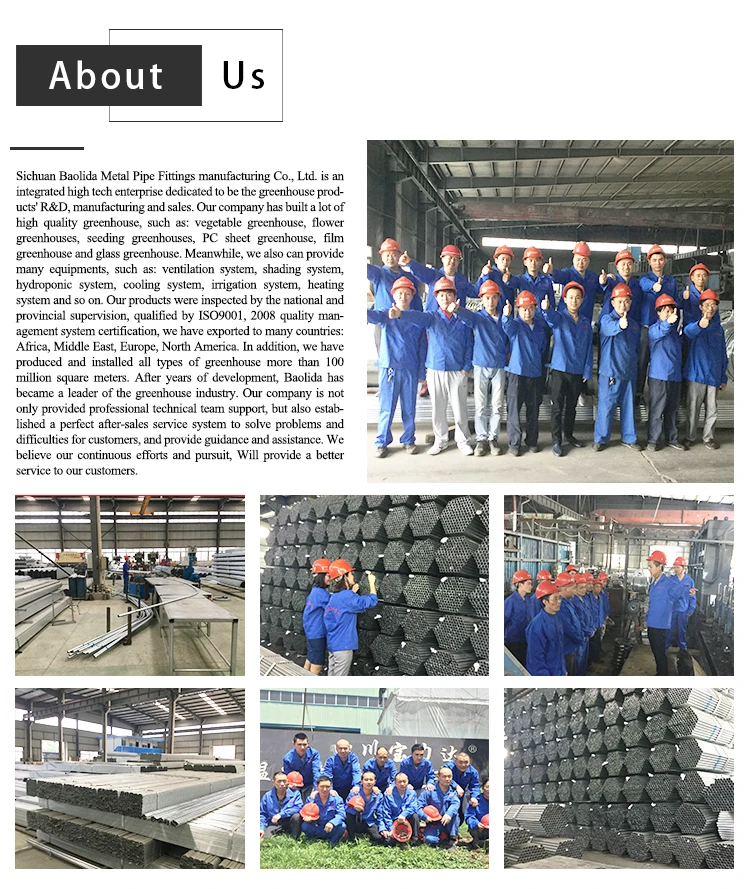 Our Company