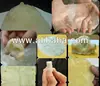 Chitosan