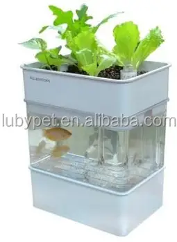 water garden fish bowl aquarium tank plant aquaponics