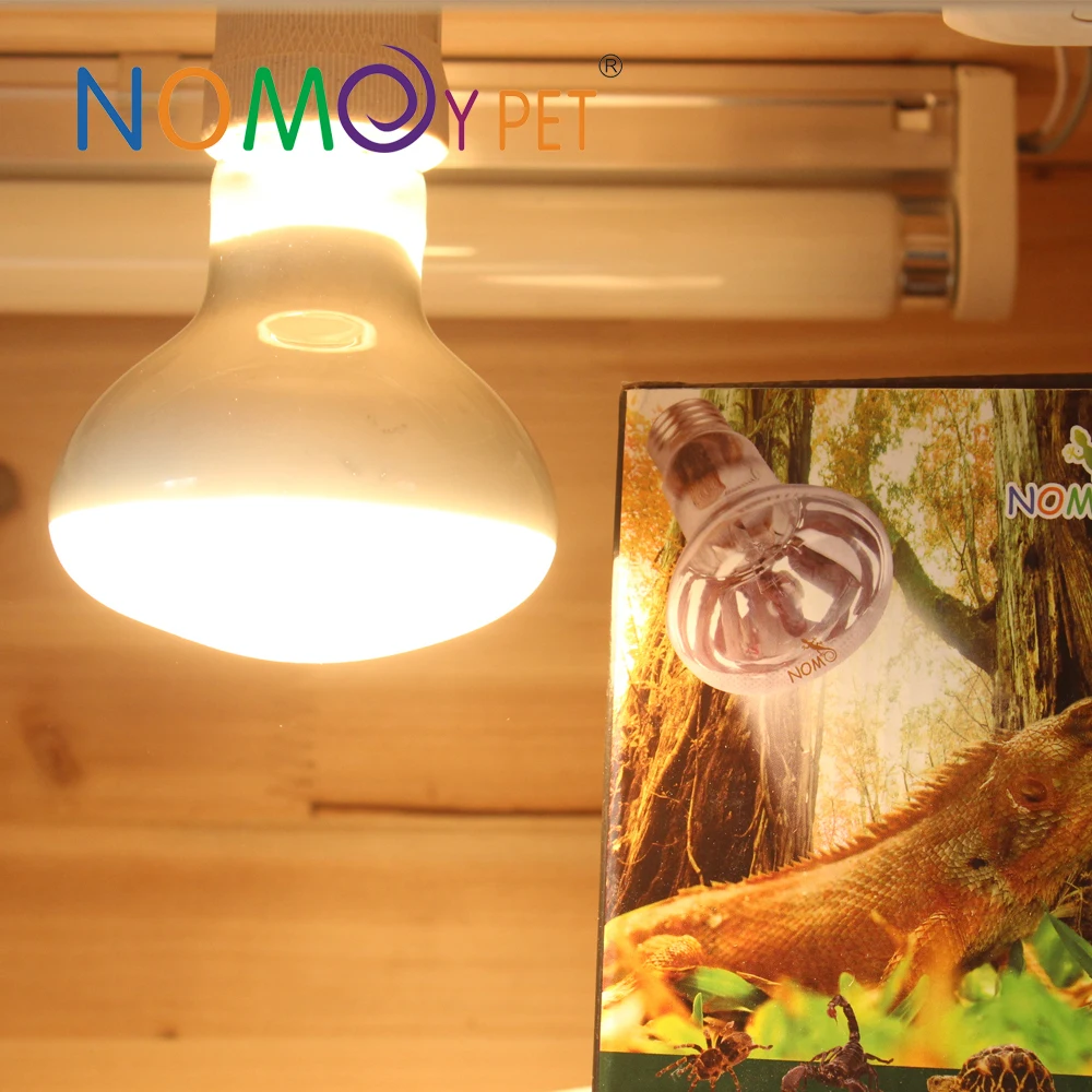 New pet product glass terrarium reptile lamp with uva uvb and heat