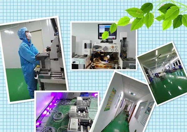 mini-UV-torch-for-wooden-coating-series-12