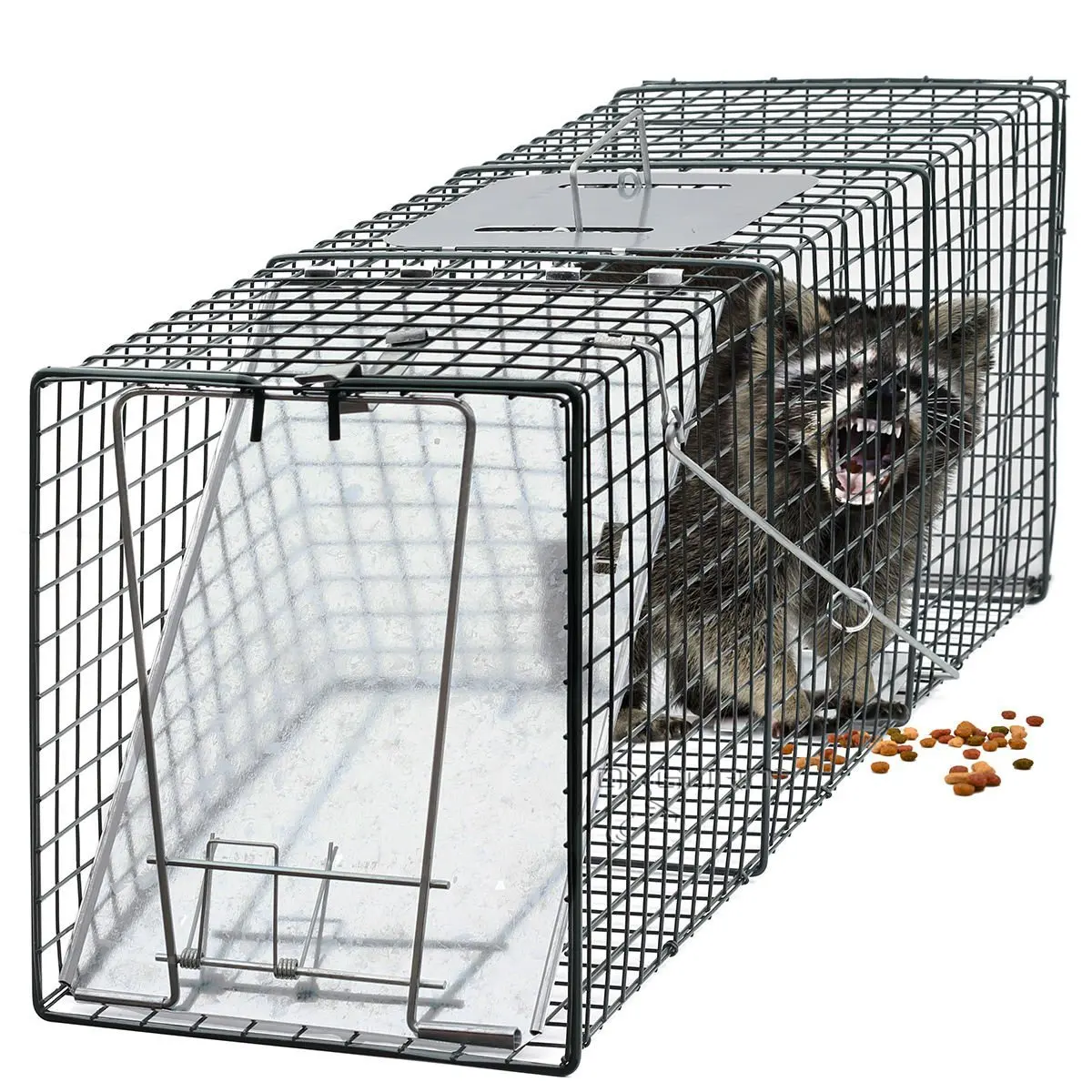 Cheap Live Trap Skunk, find Live Trap Skunk deals on line at Alibaba.com