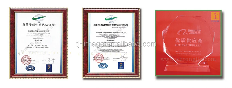 company license 2.jpg