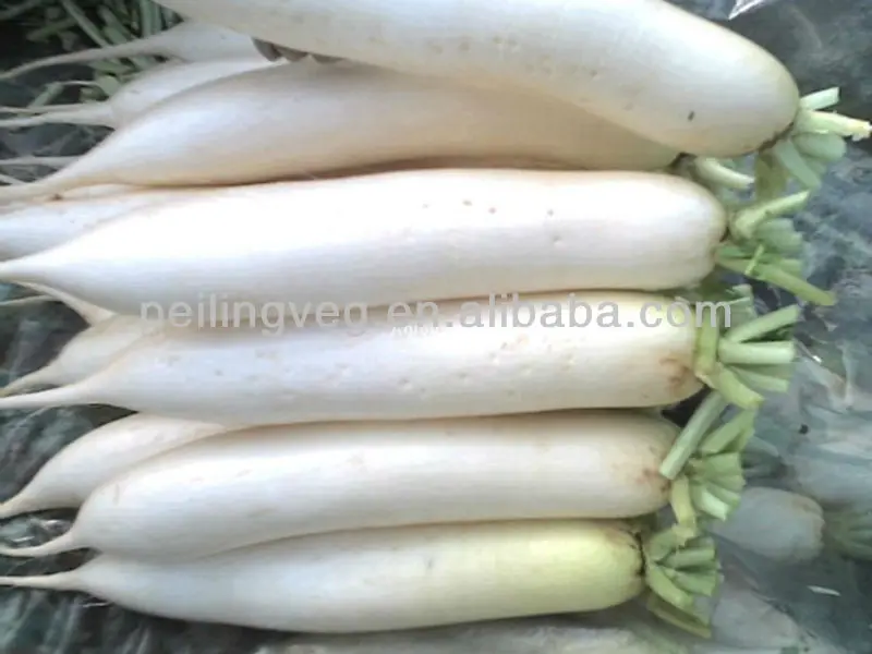 
FRESH RADDISH BAIYUCHUN CORP 2013 