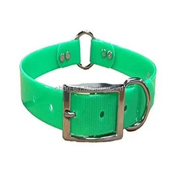 o ring dog collar