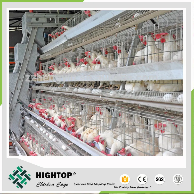 En Utilisant 3 Niveaux Batterie Cages Poules Pondeuses Vente En Algérie