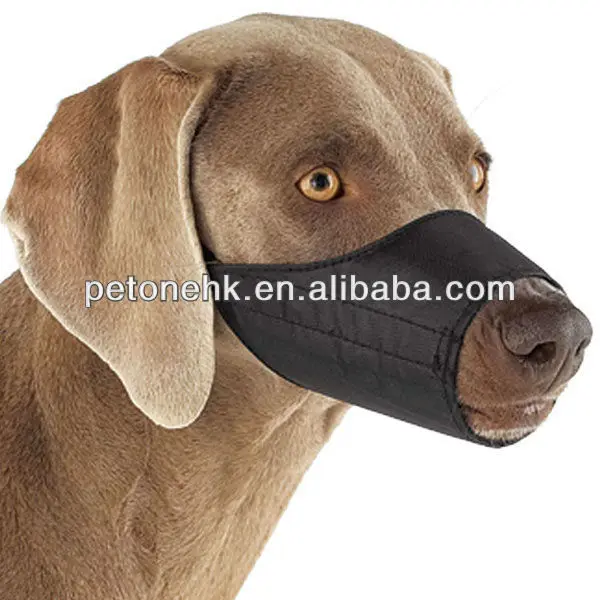 dog muzzle strap