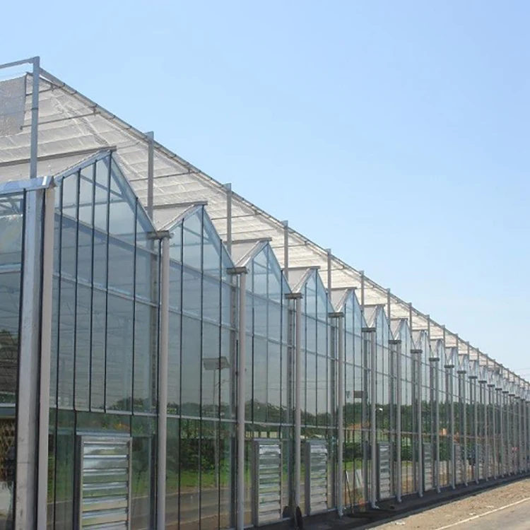 Sp-p-96-h Venlo Multi-span Horticultural Polycarbonate Sheet Greenhouse ...