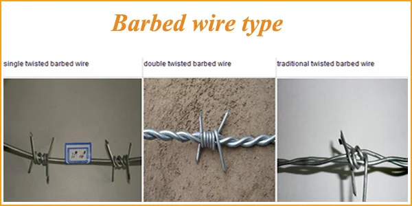 barbed wire 01.jpg