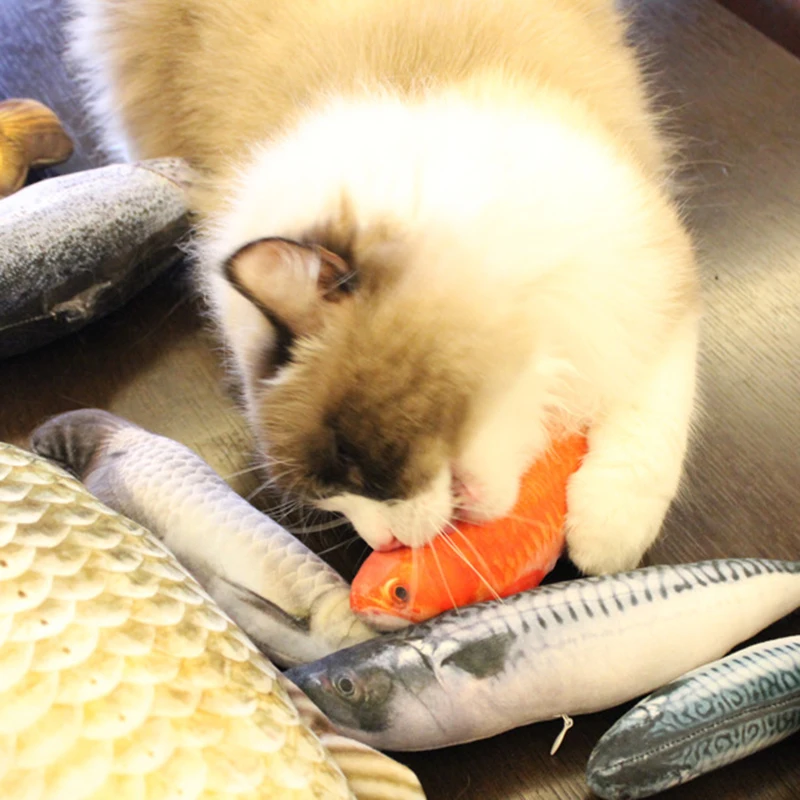 Jouet Amusant En Peluche Artificiel Pour Chat 50 Cm Coussin De Couchage Pour Chien Chiot Chat Menthe Cataire Herbe Aux Chats Gadget Buy Artificial Plush Fish For Pet Cat Puppy Dog Pet Cat Puppy Dog Toys Sleeping Cushion Fun Toy Cat Mint Catnip