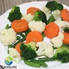Wholesale Organic Frozen Mixed Vegetables ( Broccoli Carrot Cauliflower Green beans )