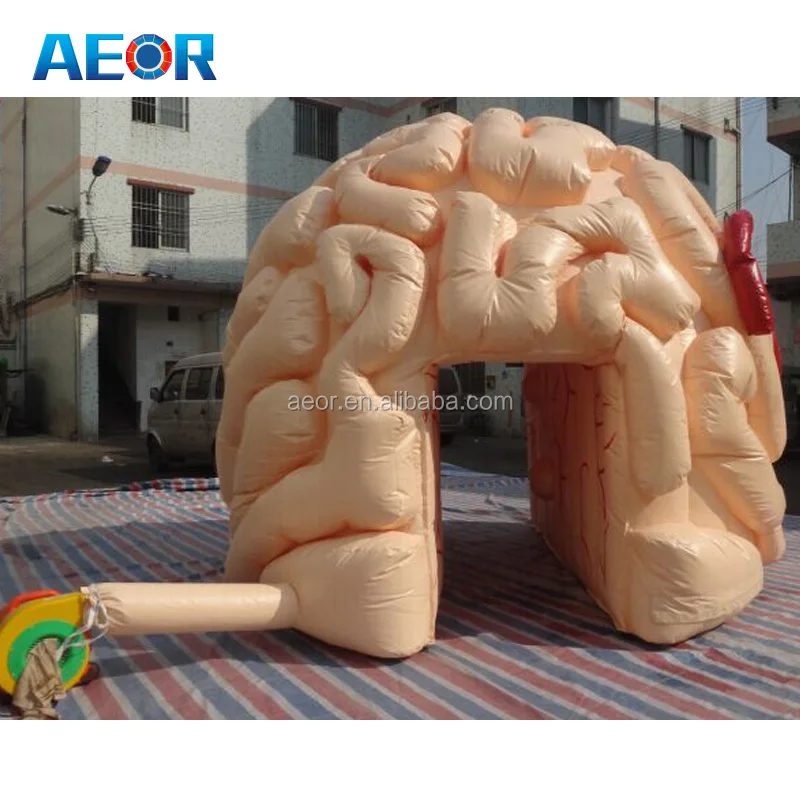 inflatable brain toy