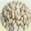 We are supply peanuts , blanched peanut kernels in round shape