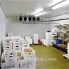 Hot product high performance durable cold room for fruit and vegetable