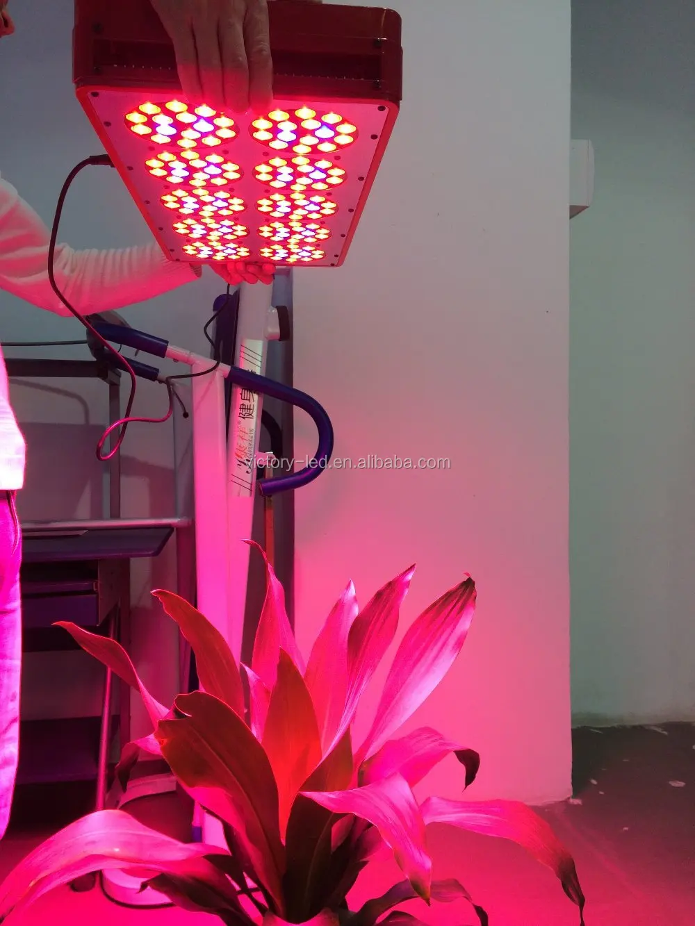 AC85~277V 300-1600W LED Grow Lighting Full Spectrum For Grow Project Stock From China Supplier