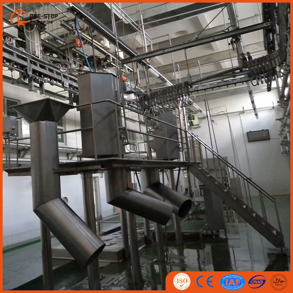 25 Cattle Per Hour Halal Meat Processing Buffalo Slaughter House Buy