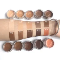 

High quality smooth nourishing long lasting best makeup concealer for cosmetic