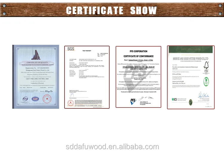 certificate show.jpg