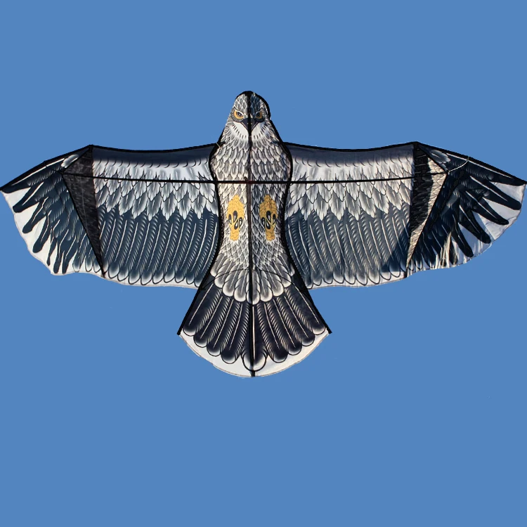 huge eagle shape kites traditional kite, View huge eagle kite, I'm a ...