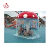 Newest Water Features Mushroom Pad with Lazy River