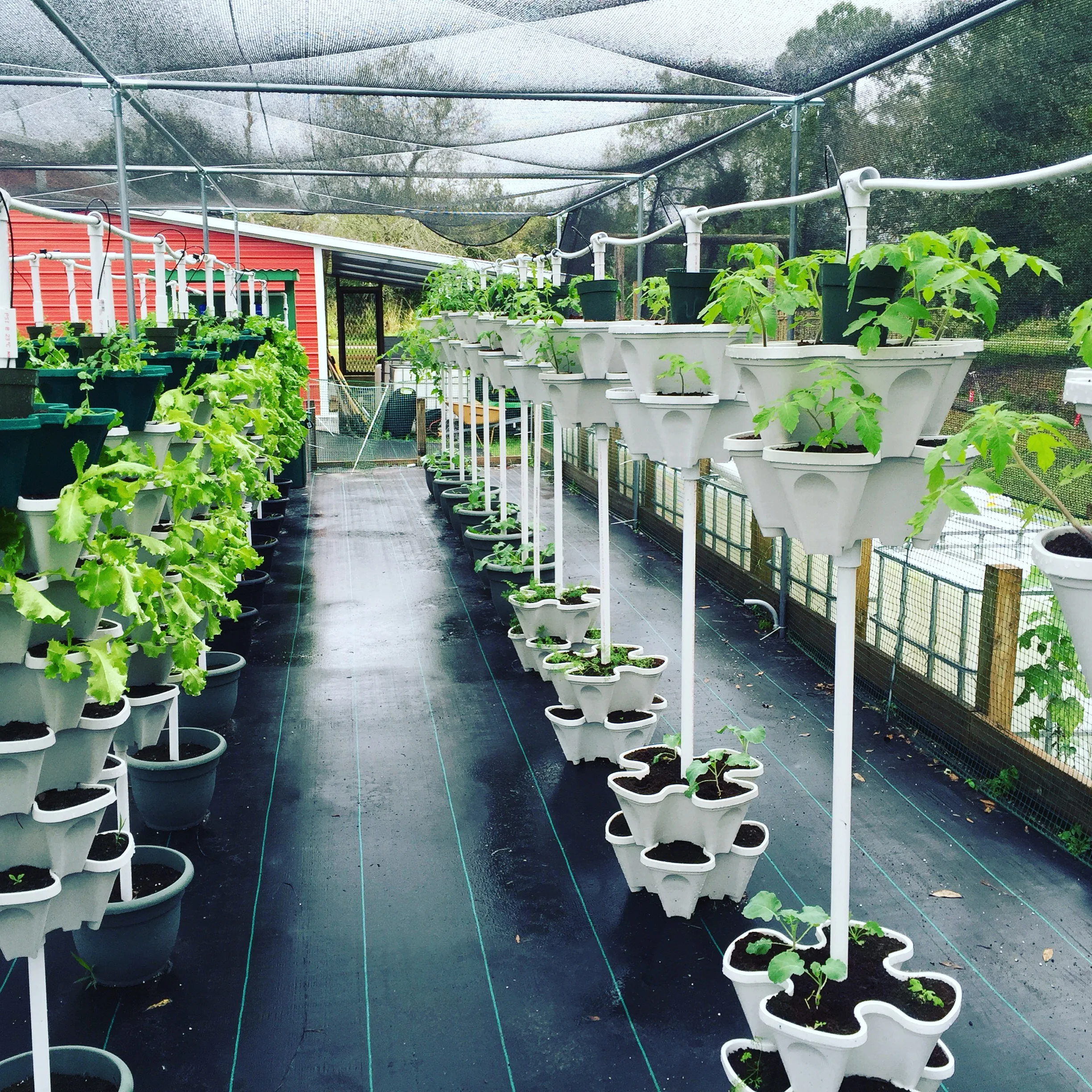 Venta al por mayor pergola para auto-Compre online los mejores pergola