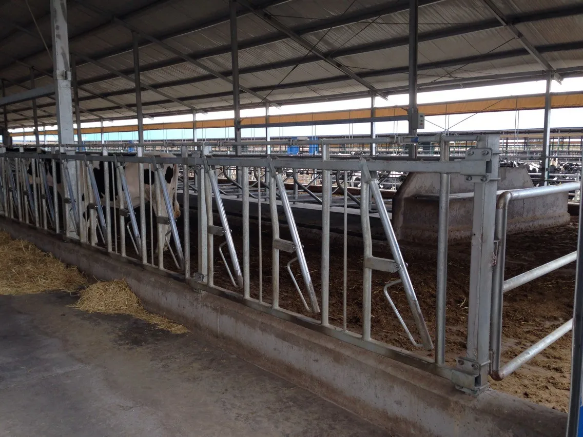 Cheap Cattle Feed Panels Used Cow Farm Equipment For Sale Buy Cheap