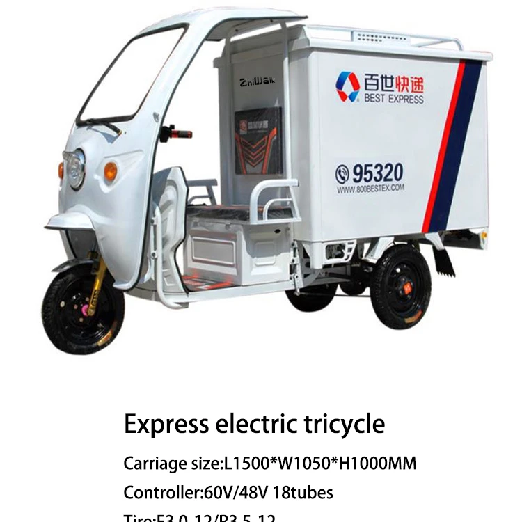cargo electric trike