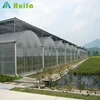 Custom wholesale promotional plastic film multi span greenhouse