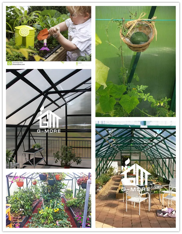 G-MORE Titan 5M width greenhouse internal.jpg