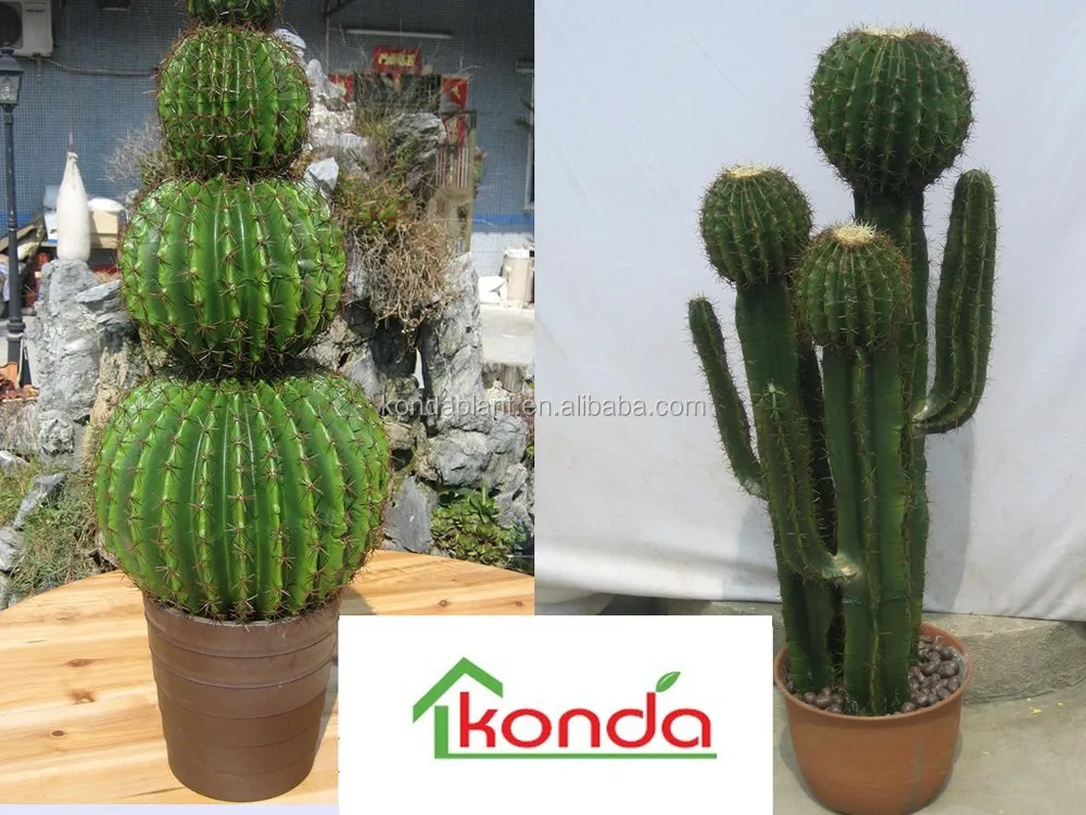 Decoration Bonsai Cactus Plants Wholesale Cactus And Succulents Cactus