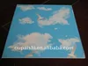 Blue Sky And White Cloud Pattern PVC Ceiling