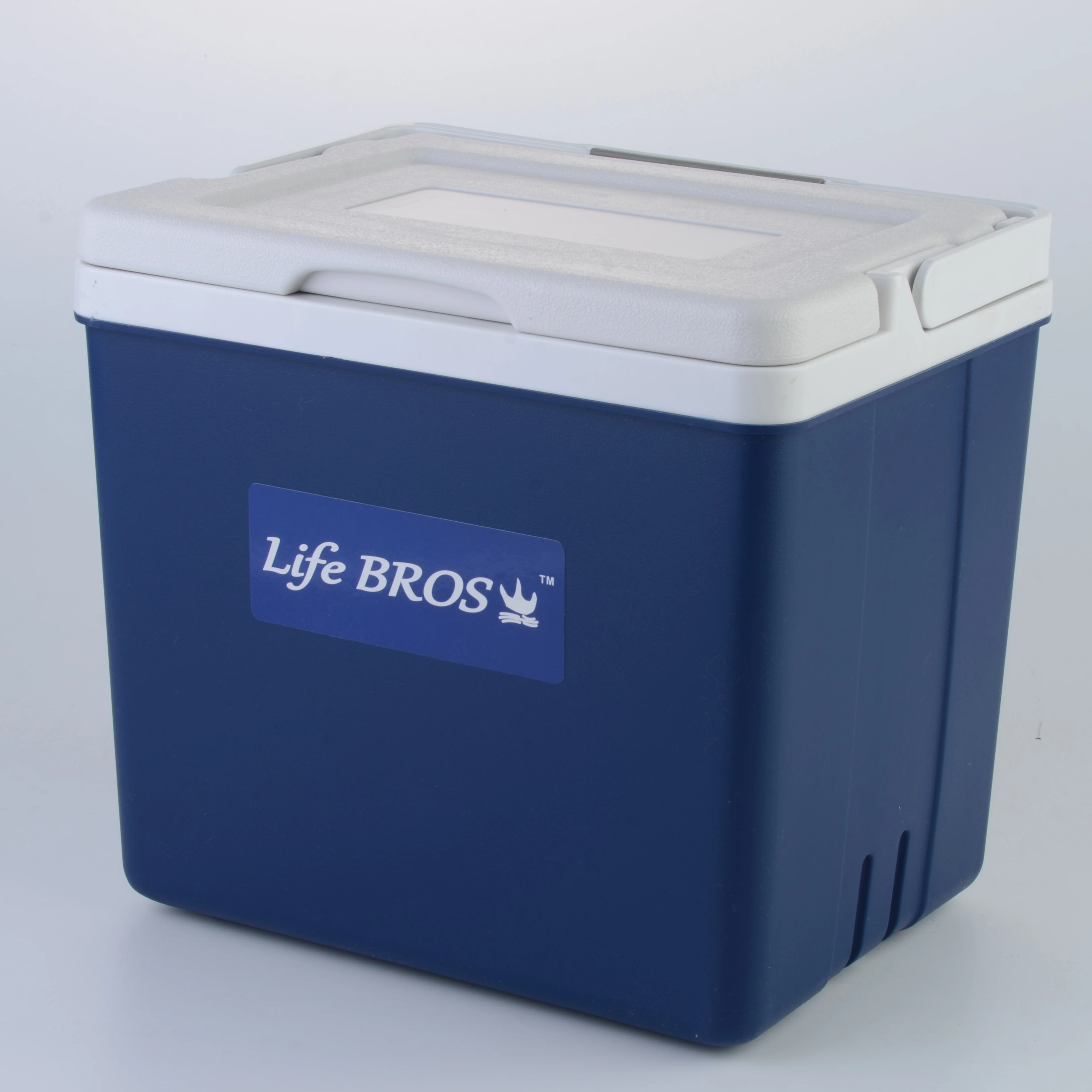 

Wholesale 10L Large Capacity Portable Plastic Car Cooler Box For Picnic, Blue, pink