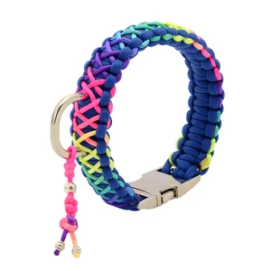 Image of Deluxe Rainbow King Cobra Paracord Pet Dog Collar and Lead with Silver Charms