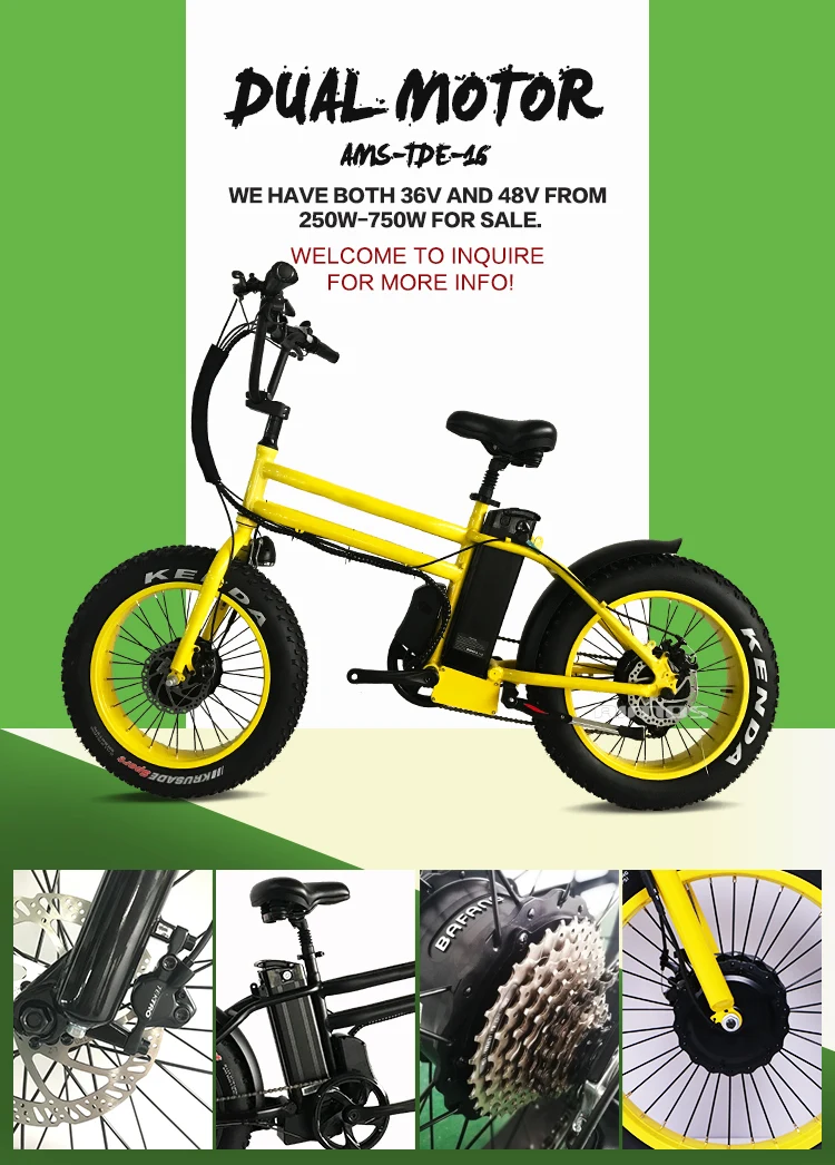 carry bags fashionable dual motor fat tire electric bike - Electric
