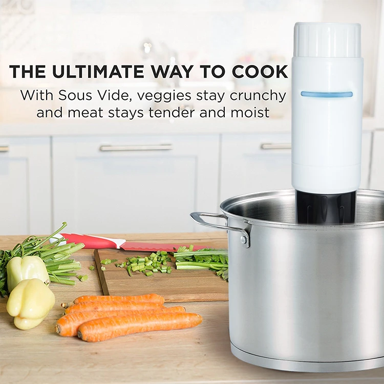 kitchen appliances sous vide cooking meet in a vacuum sealer bag immersion circulator